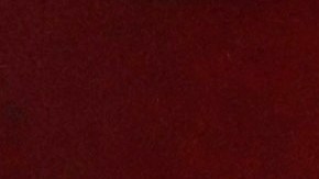 Ter Stegen fue intervenido de manera exitosa.