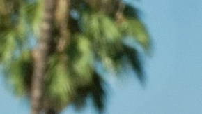 Carlos Martínez había estado protegido con DACA, pero perdió ese beneficio.