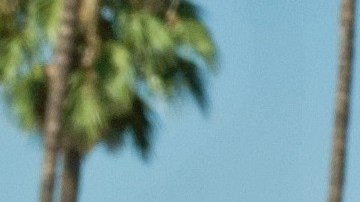 Carlos Martínez había estado protegido con DACA, pero perdió ese beneficio.