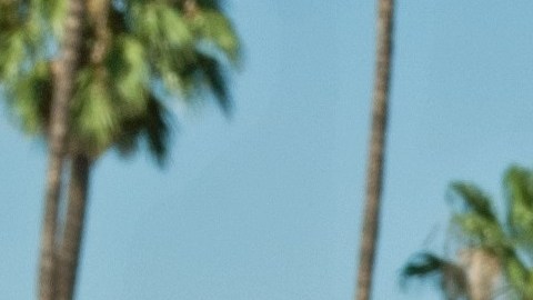 Carlos Martínez había estado protegido con DACA, pero perdió ese beneficio.