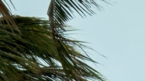 Las playas fueron cerradas en el sur de Florida.