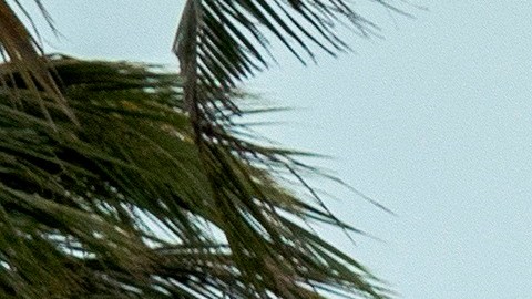 Las playas fueron cerradas en el sur de Florida.