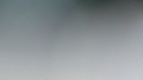 La foto ilustra una muestra tomada para realizar pruebas de coronavirus.