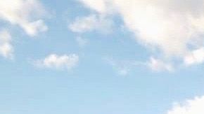 Zeferino González entre sus plantaciones de agave de El Arenal, Jalisco.