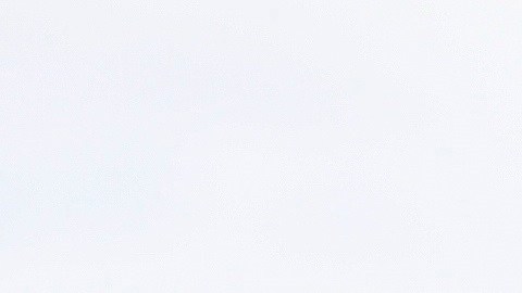 Lewis-hamilton