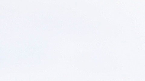 Lewis-hamilton