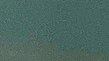 Ambientalistas dicen que las mantas están en busca de más oxígeno en el agua.