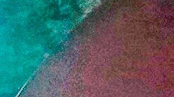 Manifestantes en Kenosha, Wisconsin