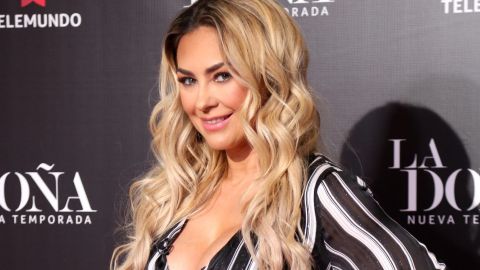 Aracely Arámbula.