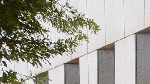 Llaman a los latinos a no votar por Donald Trump (Cortesía Juan José Gutiérrez)