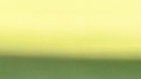 Alan Pulido selección