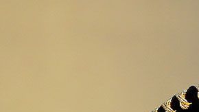 Andy Ruiz vs. Chris Arreola