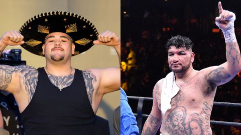 Andy Ruiz vs. Chris Arreola