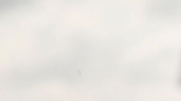 Antuna y Vega castigados