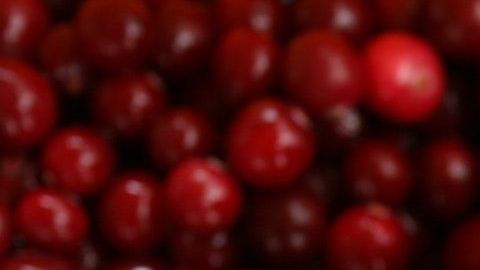 Las bayas son ricas en antocianinas, las cuales tienen efectos antioxidantes y antiinflamatorios.