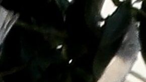 Kendall Jenner and Devin Booker