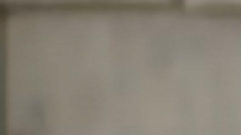 MILWAUKEE, WI - AUGUST 18: In this screenshot from the DNCC’s livestream of the 2020 Democratic National Convention, Former U.S. Ambassador to Japan and daughter of President John F. Kennedy Caroline Kennedy and son Jack Schlossberg, grandson of President John F. Kennedy speak during the virtual convention on August 18, 2020.  The convention, which was once expected to draw 50,000 people to Milwaukee, Wisconsin, is now taking place virtually due to the coronavirus pandemic.  (Photo by DNCC via Getty Images)  (Photo by Handout/DNCC via Getty Images)