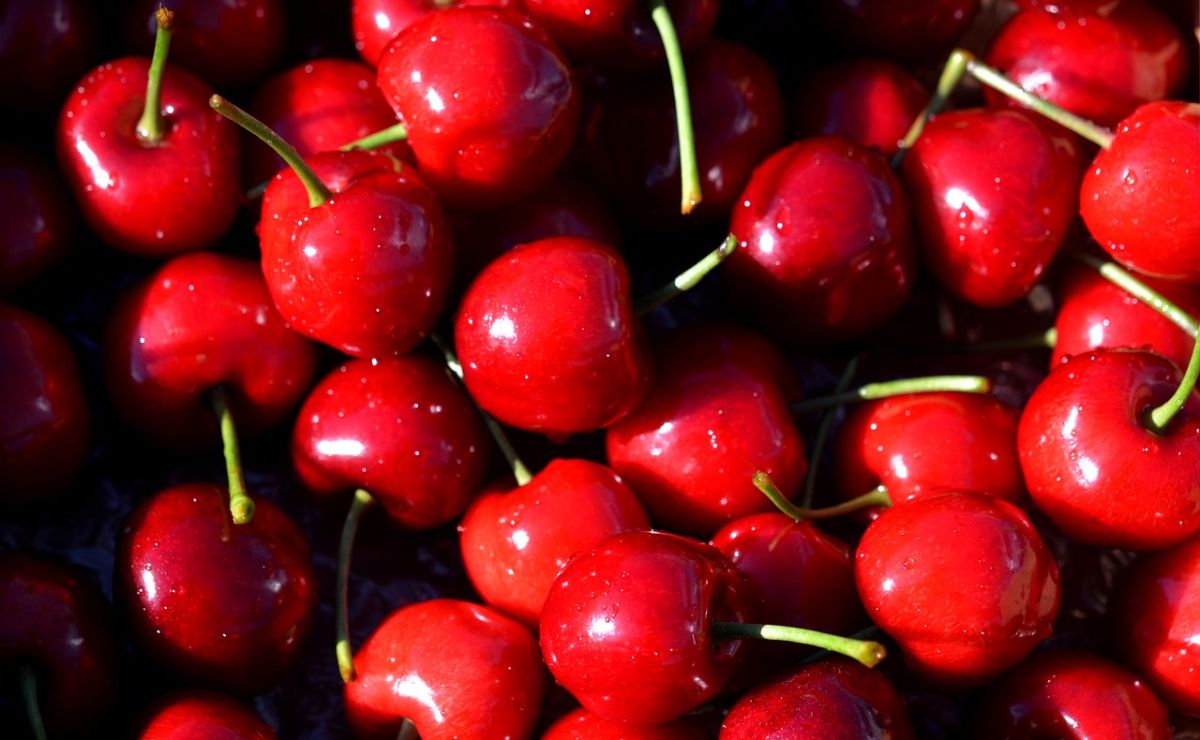 Las cerezas ácidas son fuente natural de melatonina.
