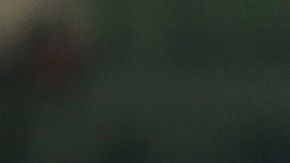 Chicharito Peña Nieto Florentino Pérez corrupción