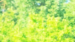 David-Delmar-Sentíes