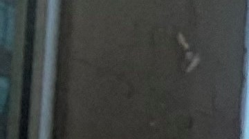 En los pasados días habían aumentado las protestas para exigir al Gobernador que extendieran la moratoria de desalojos.