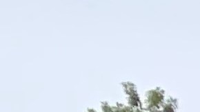 Estrenan vía exlusiva para autobuses en Jay Street, Brooklyn y organizaciones piden más