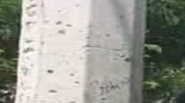 FOTOS: Exhiben en redes a sicario del Cártel del Noreste abatido por soldados mexicanos