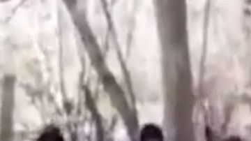 Familia Michoacana y Los Viagras amenazan al CJNG y a político mexicano en video