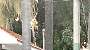 José Manuel Figueroa