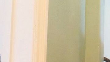 Doris Robles sí ha tenido trabajo en la limpieza de casas. (Cortesía de Doris Robles)