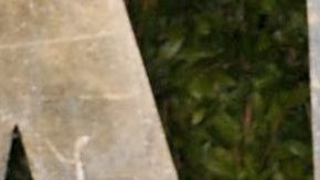 Lourdes Leon y Madonna