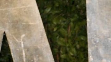 Lourdes Leon y Madonna