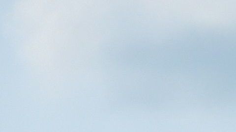 Un vehículo anfibio de los Marines como los mostrados sufrió el accidente.