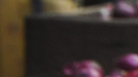 El brote de salmonela de cebolla morada se registra en 47 estados en Estados Unidos