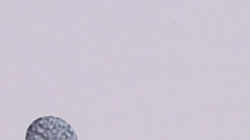 Justin y Hailey Bieber