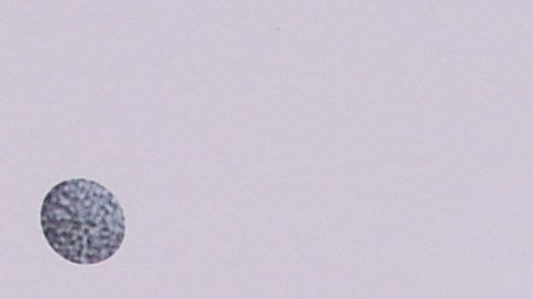 Justin y Hailey Bieber