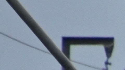 Un tren de Union Pacific arrolló a dos personas y su mascota en Ventura, California el pasado 9 de junio.