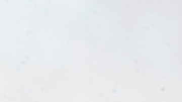 Panorámica de Seattle en el estado de Washington.