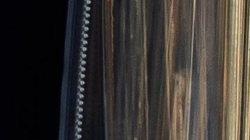 Una residente de la ciudad de Long Beach, California paseando a su mascota.