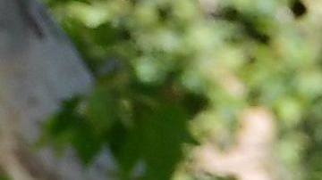 Muchas personas tienen problemas para pagar sus alquileres.