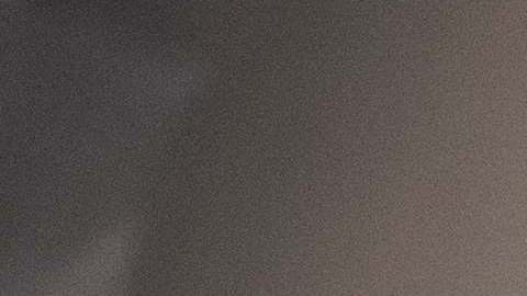 Pollo procesado en planta de carne.