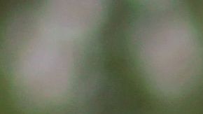 Amazon despide a más de 1,200 repartidores en todo el país