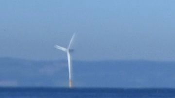 El animal apareció en una playa de Liverpool, Inglaterra.