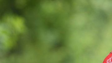 Fabio Jakobsen en su bicicleta.