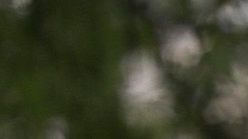 La escuelas reabrirán en Florida.