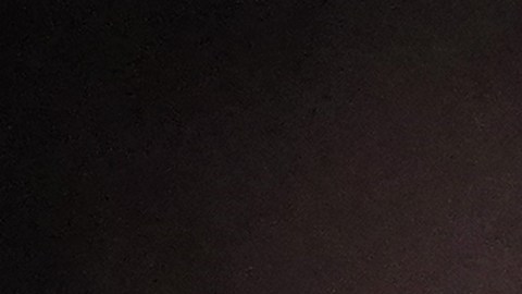 Las protestas en Portland no han cesado desde julio.