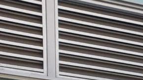 Solo un 28% de los encuestados cree que la inmigración debe disminuir.