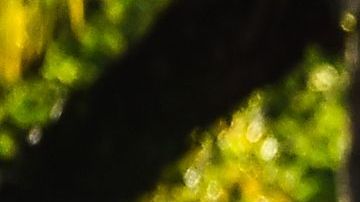 "La mayoría de latinos no puede trabajar desde casa", explican las organizaciones.