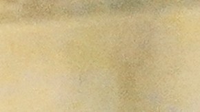 Policía en Portland.