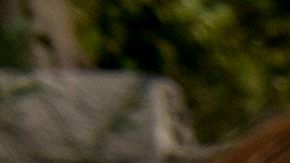 Estados en donde han sido aprobados los $300 dólares extra por desempleo